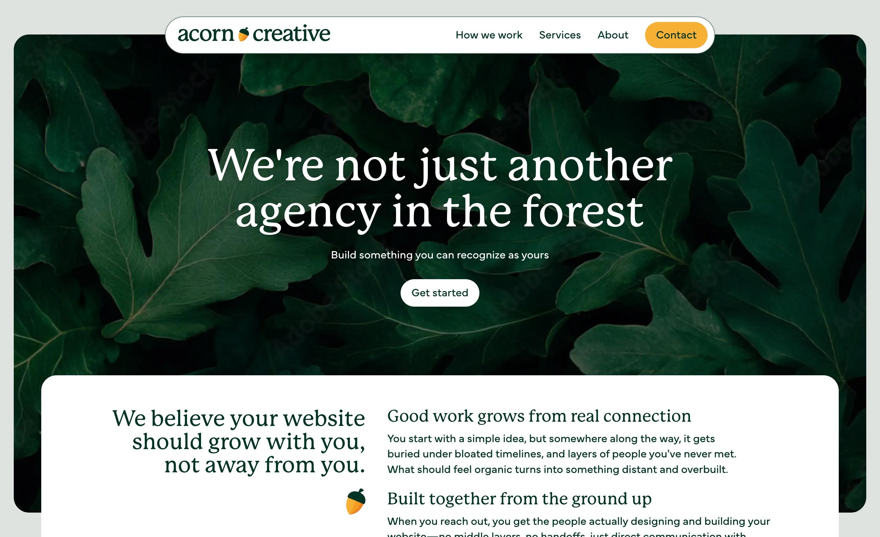 acorncreative.io